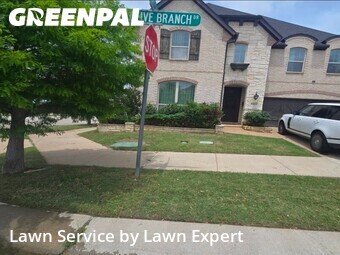 Grass Cut nearby Lewisville, TX, 