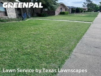 Lawn Cut nearby The Colony, TX, 