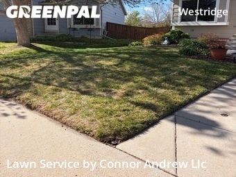 Grass Cut nearby Littleton, CO, 