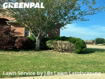 Lawn Mowing Service nearby Fort Worth, TX, 