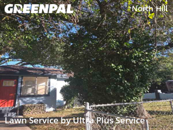 Grass Cut nearby Pensacola, FL, 