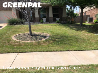Lawn Care Service nearby Pflugerville, TX, 