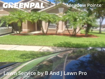 Grass Cutting nearby Wesley Chapel, FL, 