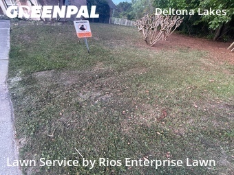 Yard Mowing nearby Deltona, FL, 