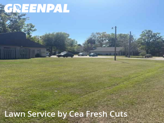 Lawn Mowing Service nearby Ocala, FL, 