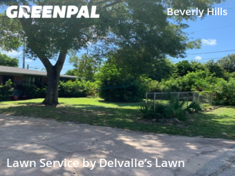 Lawn Mowing Service nearby Daytona Beach, FL, 