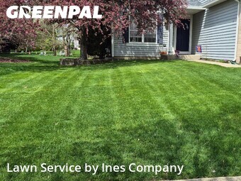 Grass Cut nearby Bolingbrook, IL, 
