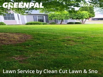 Lawn Cut nearby East Lansing, MI, 