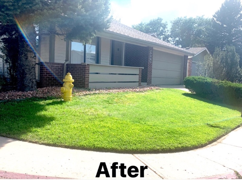 lawn-care-services-in-Loveland-CO