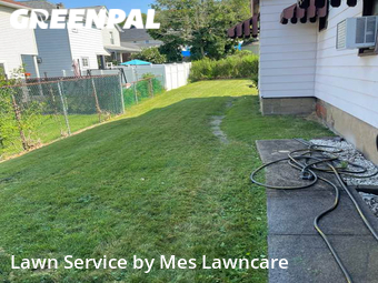 Yard Cutting nearby Pitcairn, PA, 