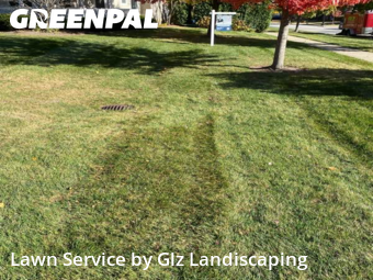 Yard Upkeep in Vernon Hills, 60061, Grass Cutting by Glz Landiscaping, work completed in Dec , 2025