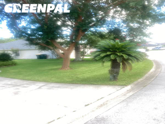 Lawn Mowing Service nearby Jacksonville, FL, 