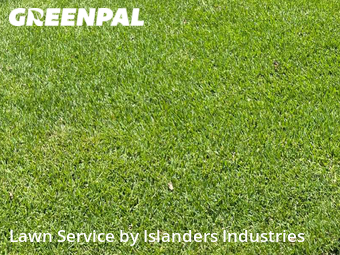 Lawn Service nearby Baton Rouge, LA, 