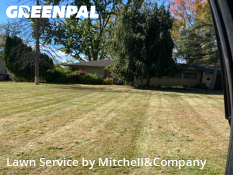 Lawn Maintenance in Southfield, 48076, Weed Trimming by Mitchell&Company, work completed in Nov , 2025