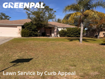 Yard Work in Spring Hill, 34609, Weed Trimming by Curb Appeal , work completed in Dec , 2025