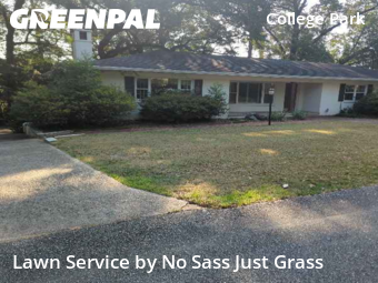 Grass Cut nearby Mobile, AL, 