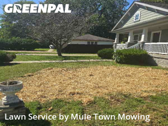 Lawn Cut nearby Franklin, TN, 