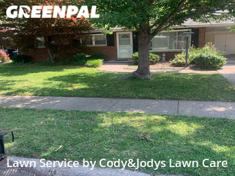 Grass Cut nearby Granite City, MO, 