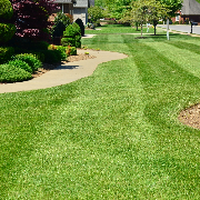 grass-cutting-businesses-in-Bensalem-PA