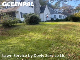 Grass Care in University Park, 20782, Yard Care by Deviv Service Llc, work completed in Oct , 2025