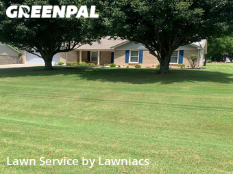Lawn Cut nearby Harvest, AL, 