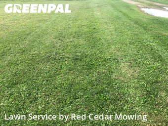 Lawn Service nearby Grand Ledge, MI, 
