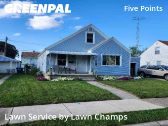 Lawn Cut nearby Toledo, OH, 