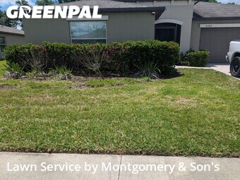 Lawn Service nearby Lakeland, FL, 