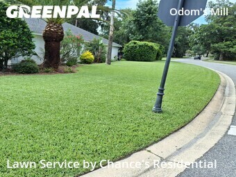 Lawn mowed in Palm Valley, 32082