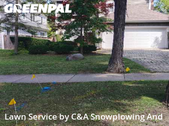 Backyard Mowing in Winnetka, 60093, Yard Upkeep by C&A Snowplowing And , work completed in Nov , 2025