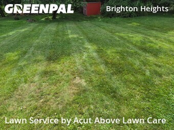 Grass Cut nearby Pittsburgh, PA, 
