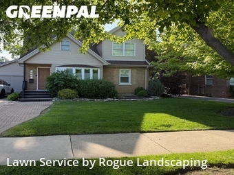 Grass Cut nearby Elmhurst, IL, 