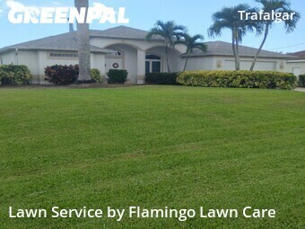 Yard Cutting nearby Cape Coral, FL, 