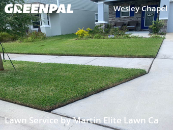 Lawn Mow nearby Wesley Chapel, FL, 