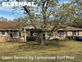 Grass Cutting nearby Hendersonville, TN, 