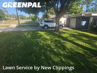 Lawn Cut nearby Clearwater, FL, 