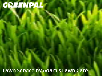 Lawn Service nearby St. Louis, MO, 