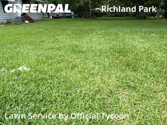 Lawn Mowing Service nearby Daytona Beach, FL, 
