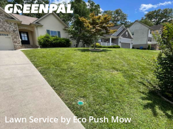 Lawn Care nearby Chattanooga, GA, 