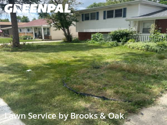 Lawn Service nearby Addison, IL, 