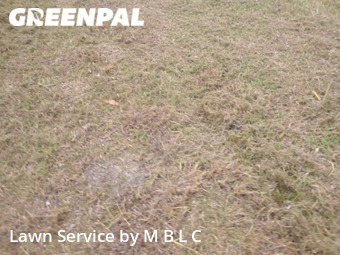 Yard Mowing nearby Lafayette, LA, 