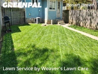 Lawn Mowing nearby Indianapolis, IN, 