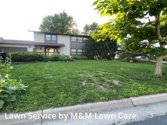 Grass Cutting nearby Woodbury, MN, 