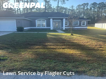 Lawn Upkeep in Palm Coast, 32164, Weed Trimming by Flagler Cuts, work completed in Nov , 2025