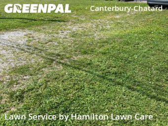 Lawn Care Service nearby Indianapolis, IN, 