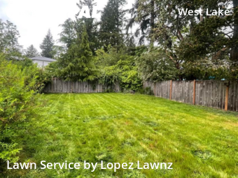 Lawn Cut nearby Bellevue, WA, 