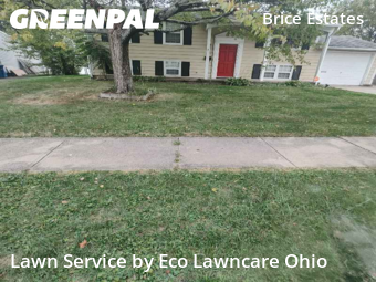 Lawn Upkeep in Reynoldsburg, 43068, Grass Services by Eco Lawncare Ohio, work completed in Oct , 2025