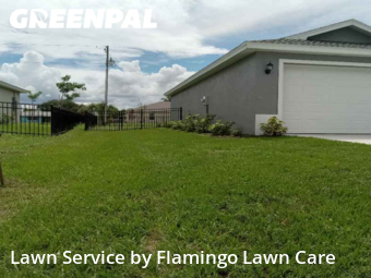 Lawn Cut nearby Punta Gorda, FL, 