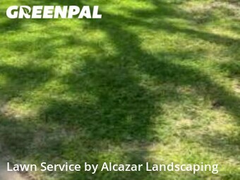 Grass Cut nearby Grand Prairie, TX, 