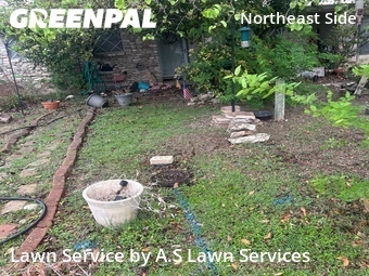 Grass Cutting nearby Converse, TX, 